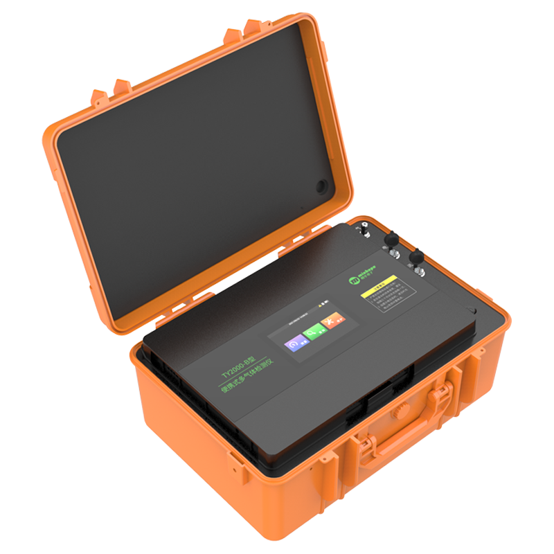 TY2000-B型 便携式多气体检测仪