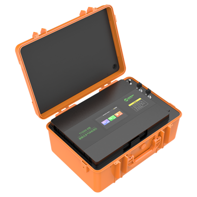 TY2000-B型 便携式多气体检测仪